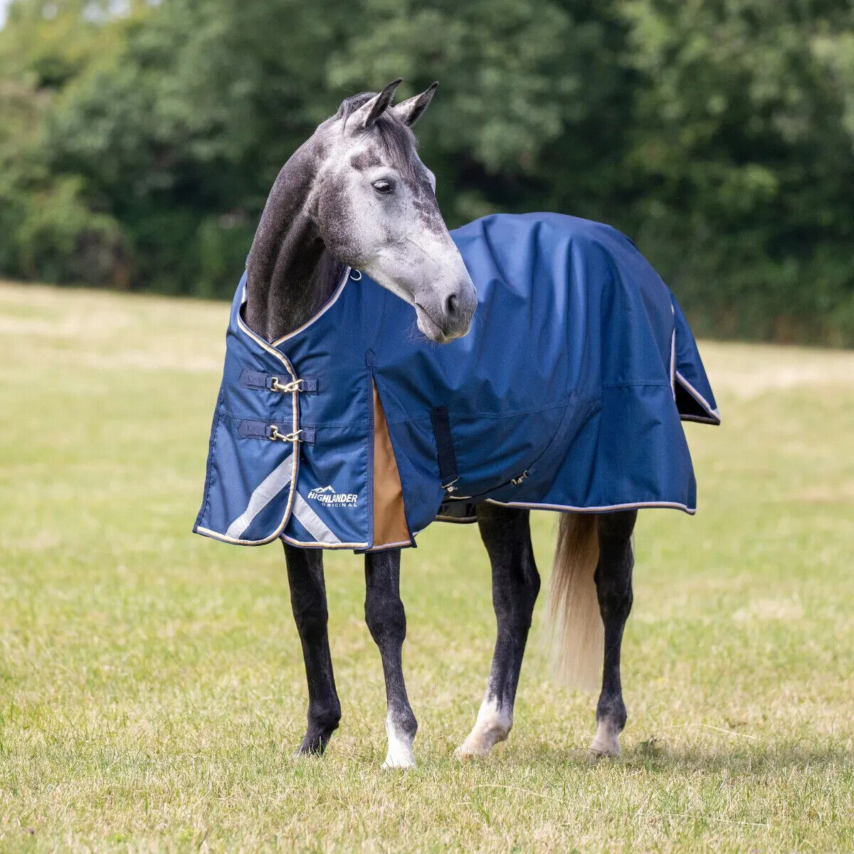 Picture of Shires Highlander Plus Lite Lightweight 0g Turnout Rug Horse Pony, 5'0"-7'3"
