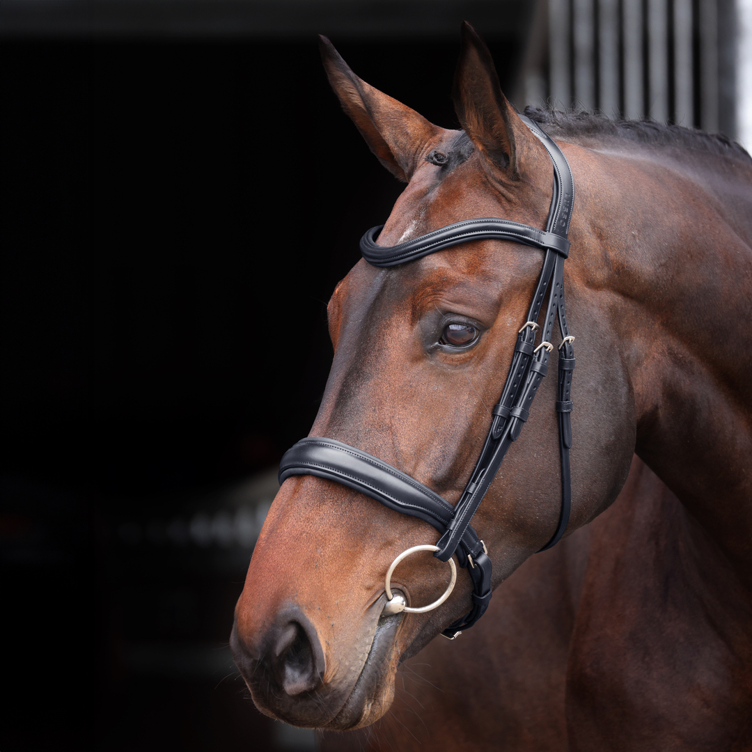 Picture of Bridle, Shires Velociti Lusso Elite Padded Cavesson Bridle, Black, Havana,4 Size