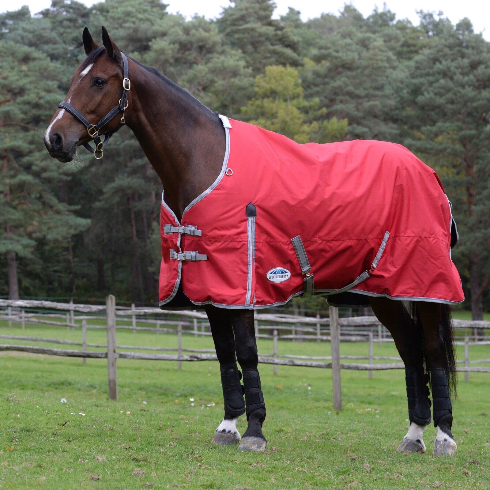 Picture of Weatherbeeta Comfitec Classic Horse Turnout Rug, 0g,  Lite,  Standard Neck