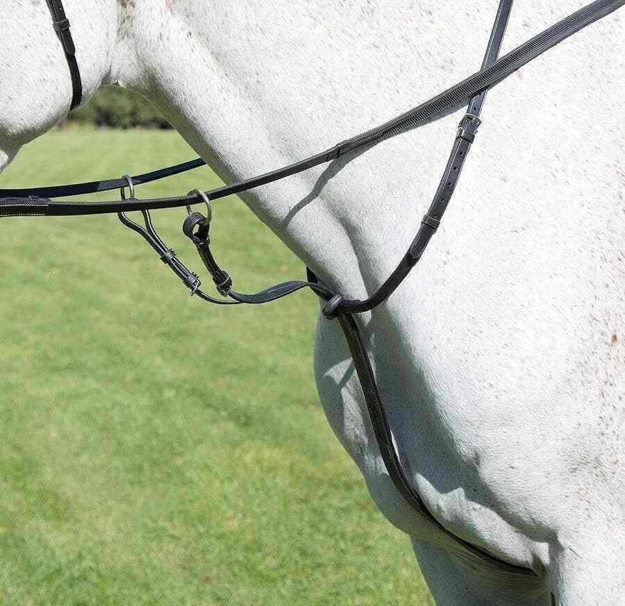 Picture of Shires Avignon Leather Running Martingale | 3 Colours