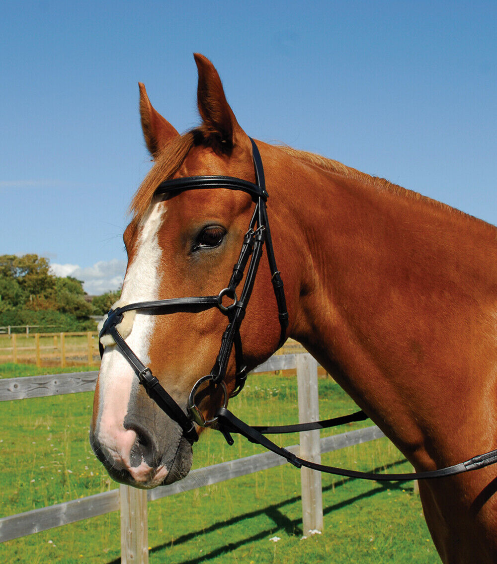 Picture of Heritage English Leather Bridle With Mexican Noseband | Black or Havana |4 Sizes