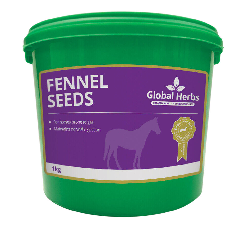 Picture of Global Herbs Fennel Seeds, 1kg Tub,  Supplement for Horses and Ponies