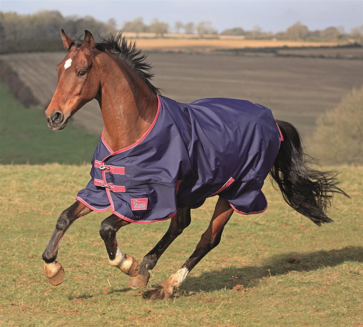 Picture of Shires Tempest Lite Summer Turnout Rug horse pony lightweight waterproof outdoor
