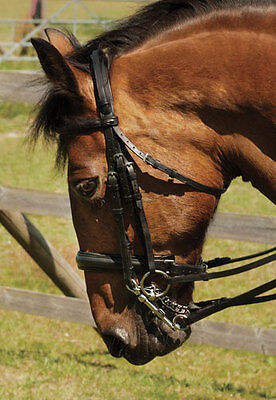 Picture of Heritage Padded English Leather Comfort Double Bridle All Sizes Dressage