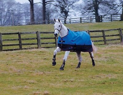 Picture of Masta Heavyweight 340g Turnout Rug Winter Avante | 600 Denier Outdoor Horse Rug