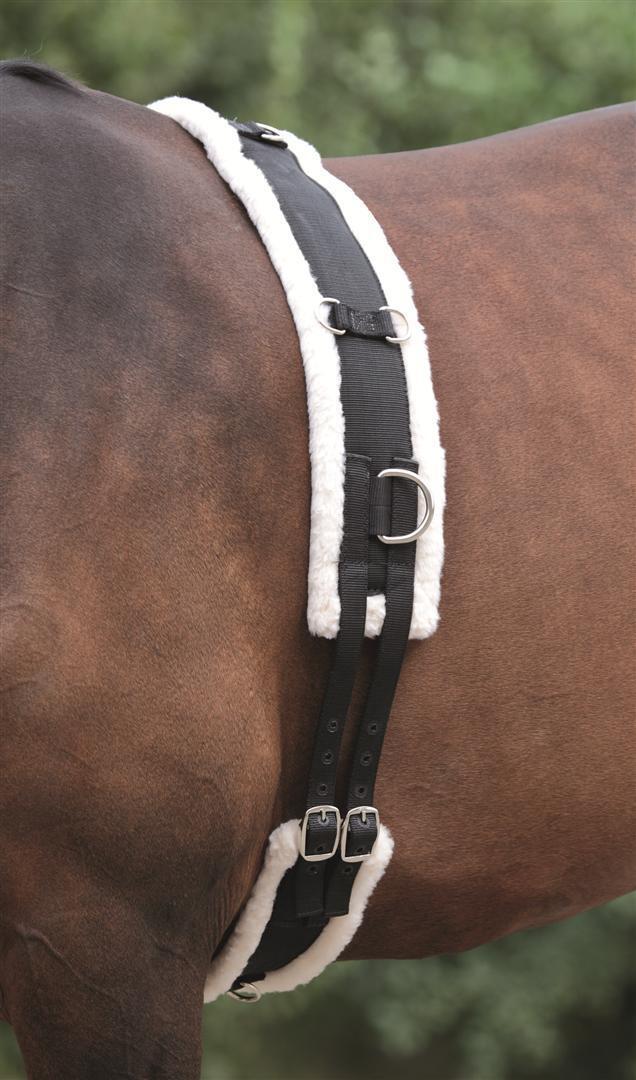 Picture of Shires Nylon Lunge Roller Soft Fleece Padding Adjustable Lunging Training