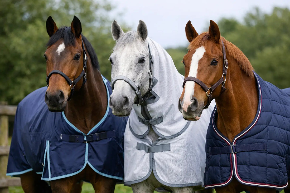 Rhinegold Rugs: Which One Suits Your Horse?