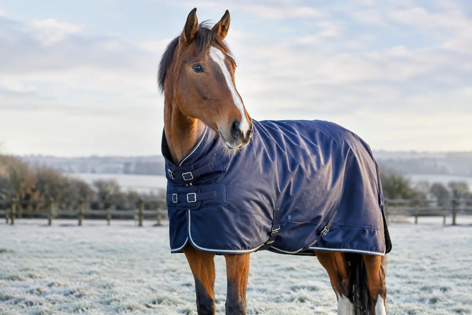 Choosing Winter Horse Rugs for British Weather