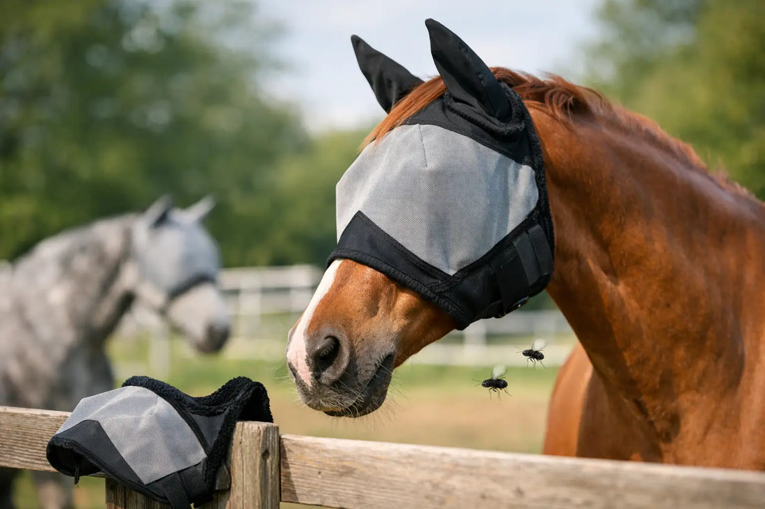Fly Masks: What to Look for and Why