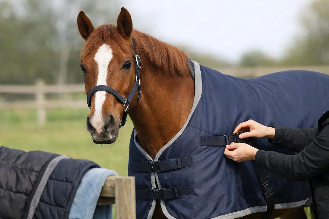 How to Choose Horse Rugs That Actually Fit
