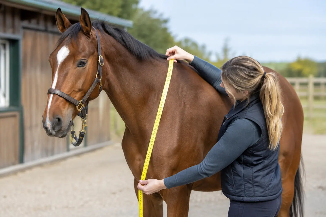 Horse Rug Measuring for a Comfortable Fit