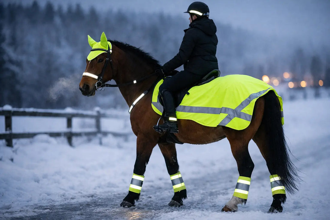 Reflective Horse Wear for Safer Winter Rides