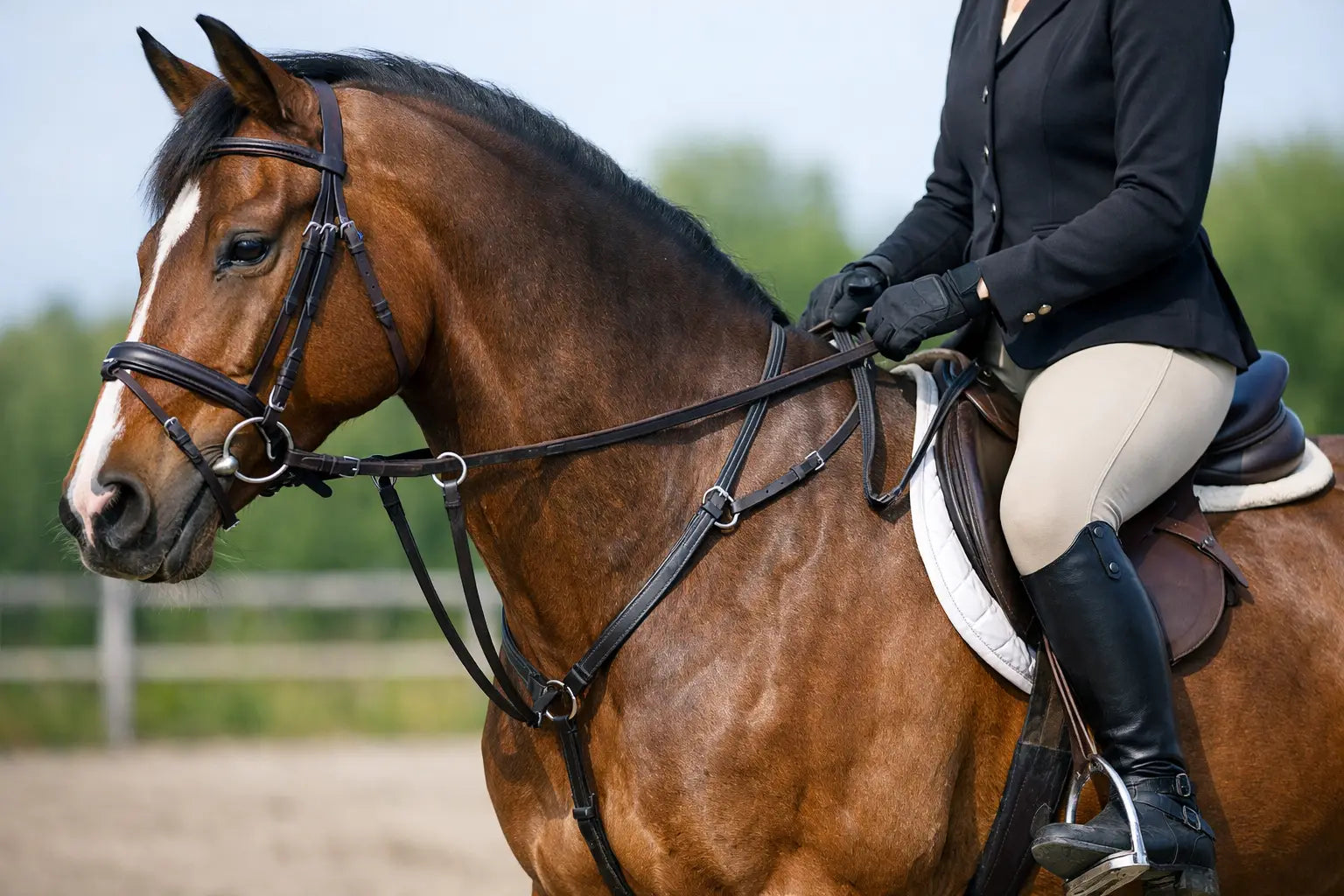 Martingales Explained for Everyday Riders