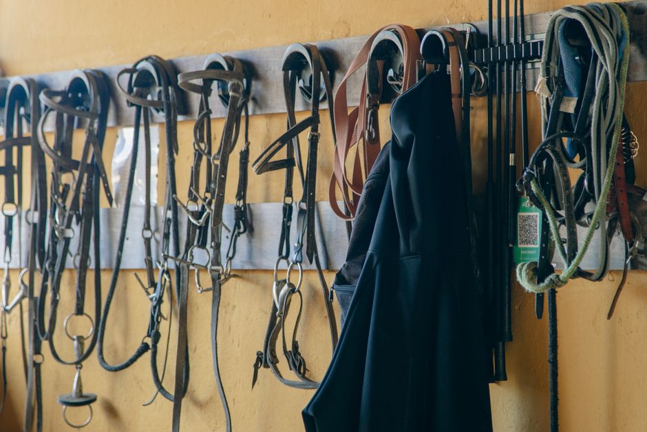 Bridle Bags: Protect Your Tack with the Right Bag for Storage and Travel