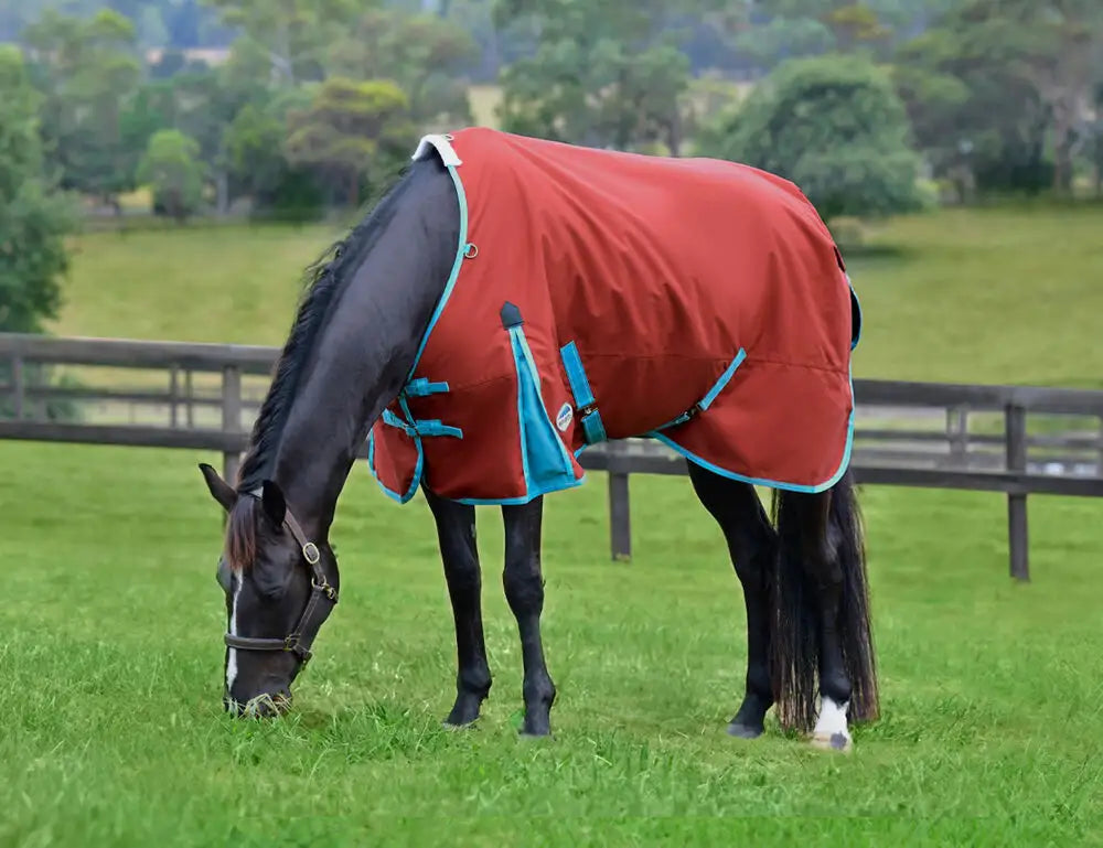 Weatherbeeta Comfitec Essential 50g Horse Turnout Rug Std Neck, Lite Plus, 1200D
