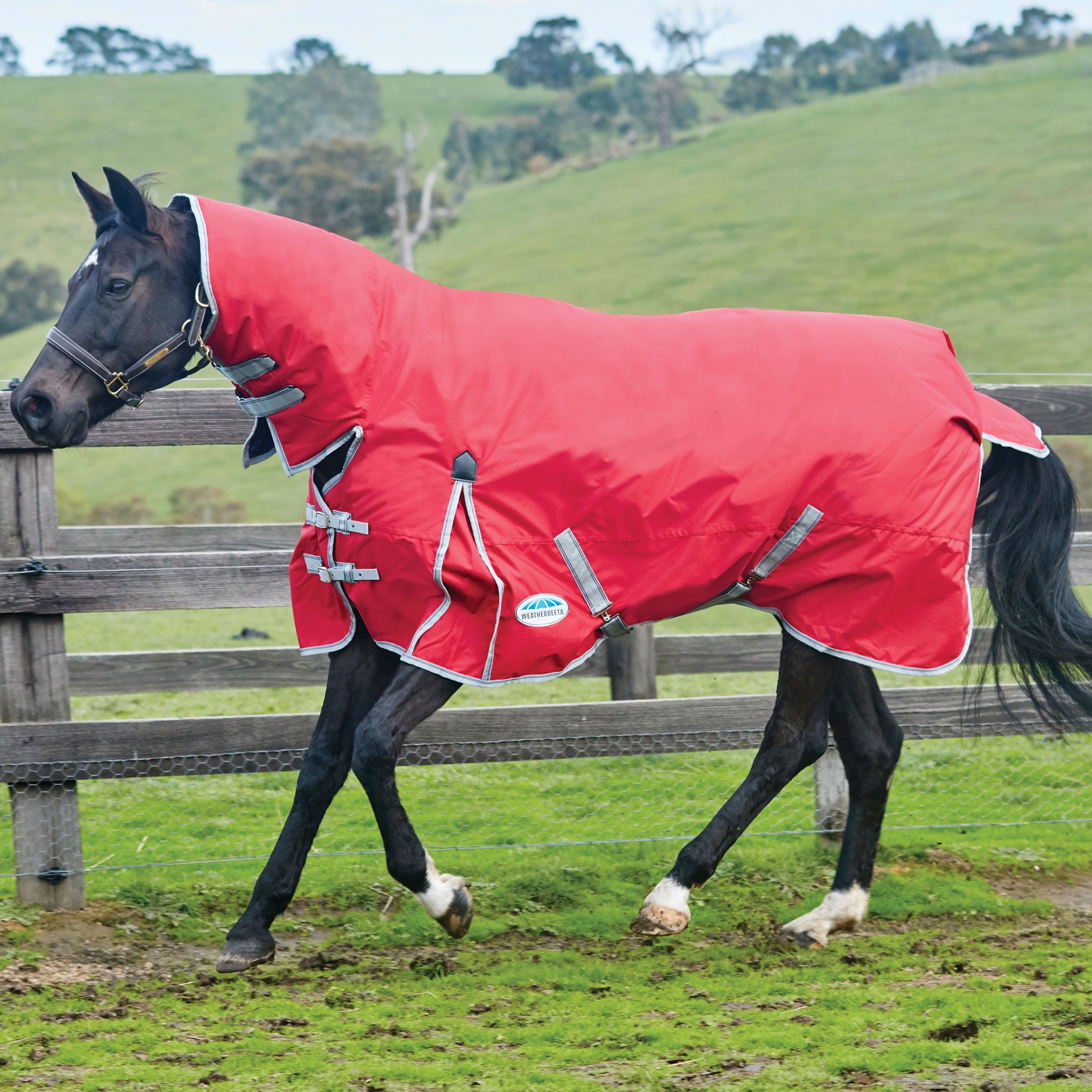 Weatherbeeta Comfitec Classic Horse Turnout Rug, 50g, Lite plus Fixed Neck Combo