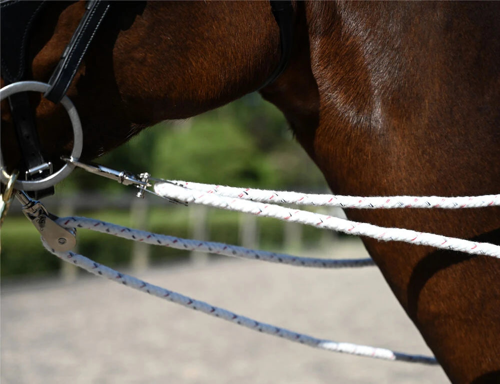 Weatherbeeta Kincade Horse Lunging Training System