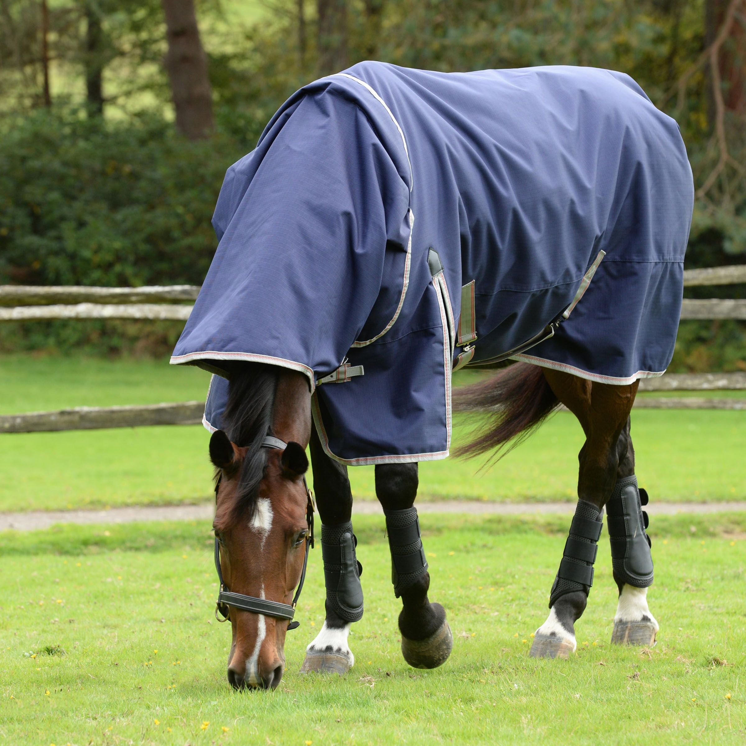 Weatherbeeta Comfitec Essential Turnout Rug 50g 1200D Lite Plus Detach-A-Neck