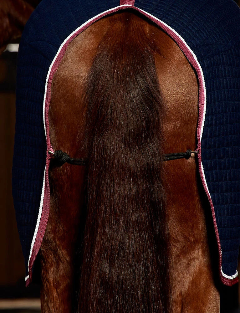 Weatherbeeta Thermocell Cooler Horse Rug, Standard Neck