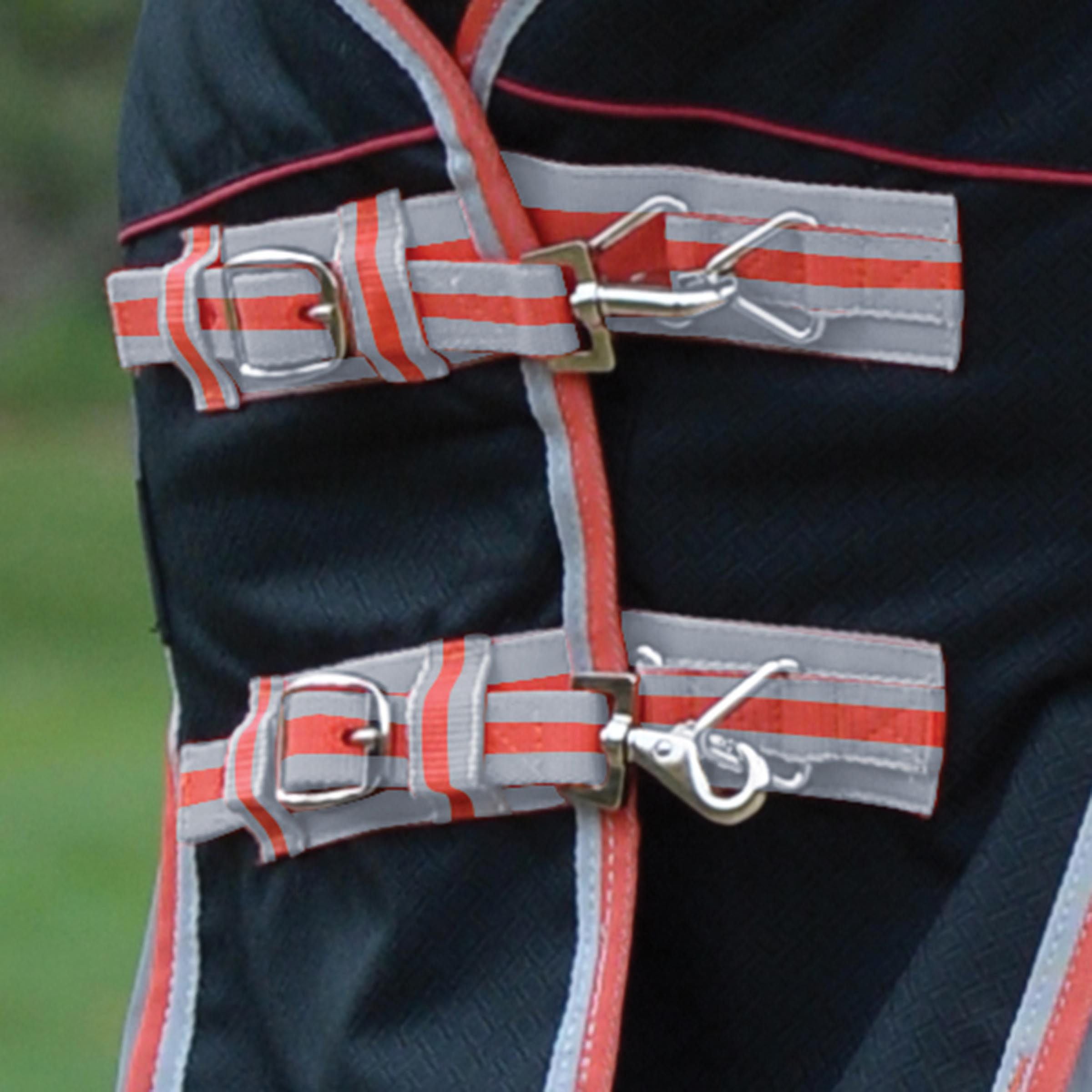 Weatherbeeta Comfitec Premier Turnout Rug, Therapy-Tec Detach-A-Neck, 50g, 1000D