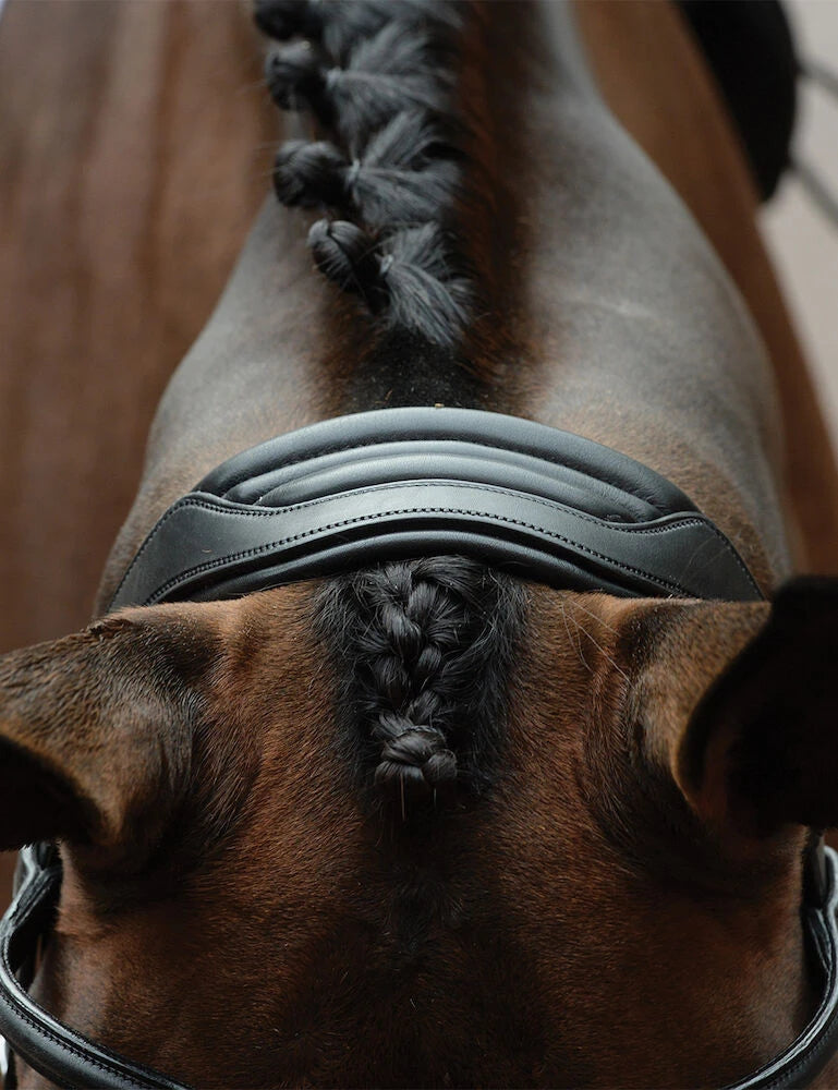 Collegiate Comfitec Vogue Anatomical Bridle, Black or Brown, 3 Sizes.