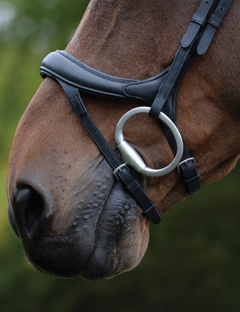 Collegiate Comfitec Vogue Anatomical Bridle, Black or Brown, 3 Sizes.