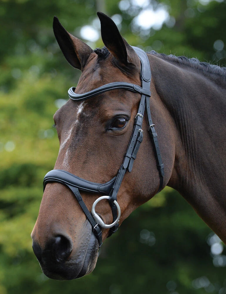 Collegiate Comfitec Vogue Anatomical Bridle, Black or Brown, 3 Sizes.