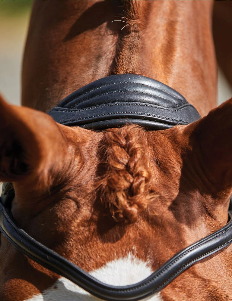 Collegiate Comfitec Grackle Bridle, Black or Brown, 3 Sizes.