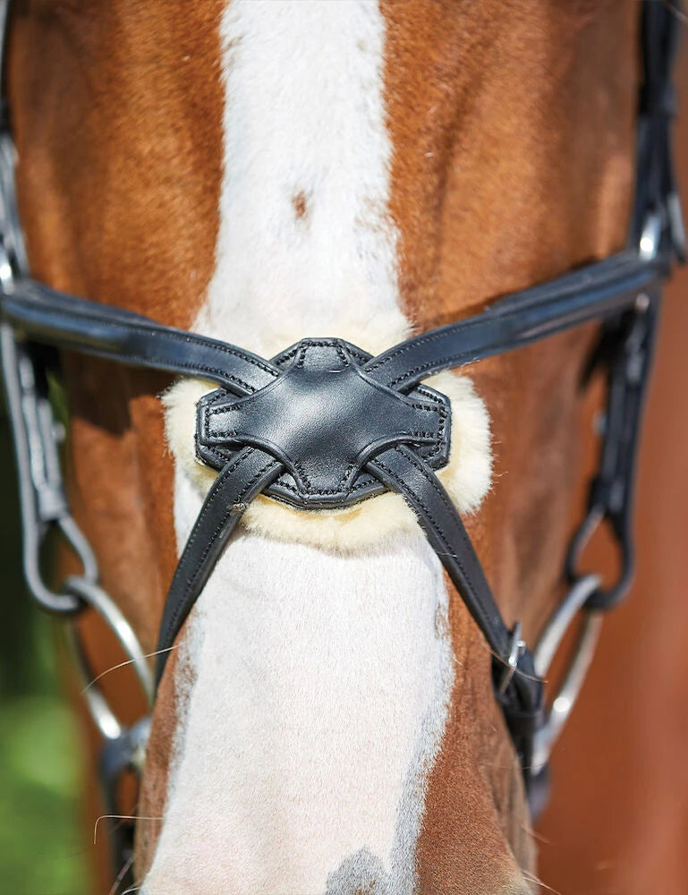 Collegiate Comfitec Grackle Bridle, Black or Brown, 3 Sizes.