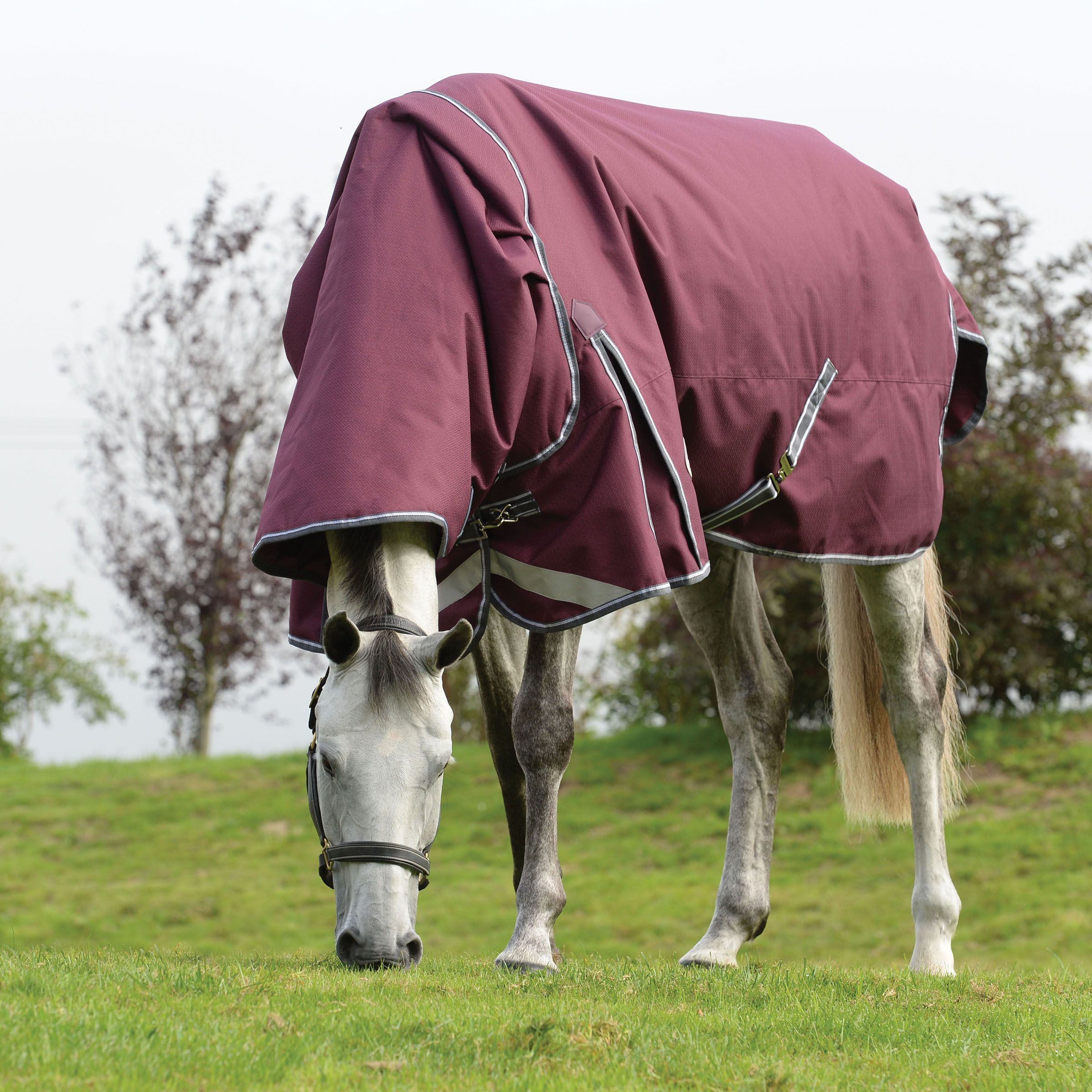Weatherbeeta Comfitec Plus Dynamic II Turnout Rug 0g 1200D Lite Detach-a-Neck