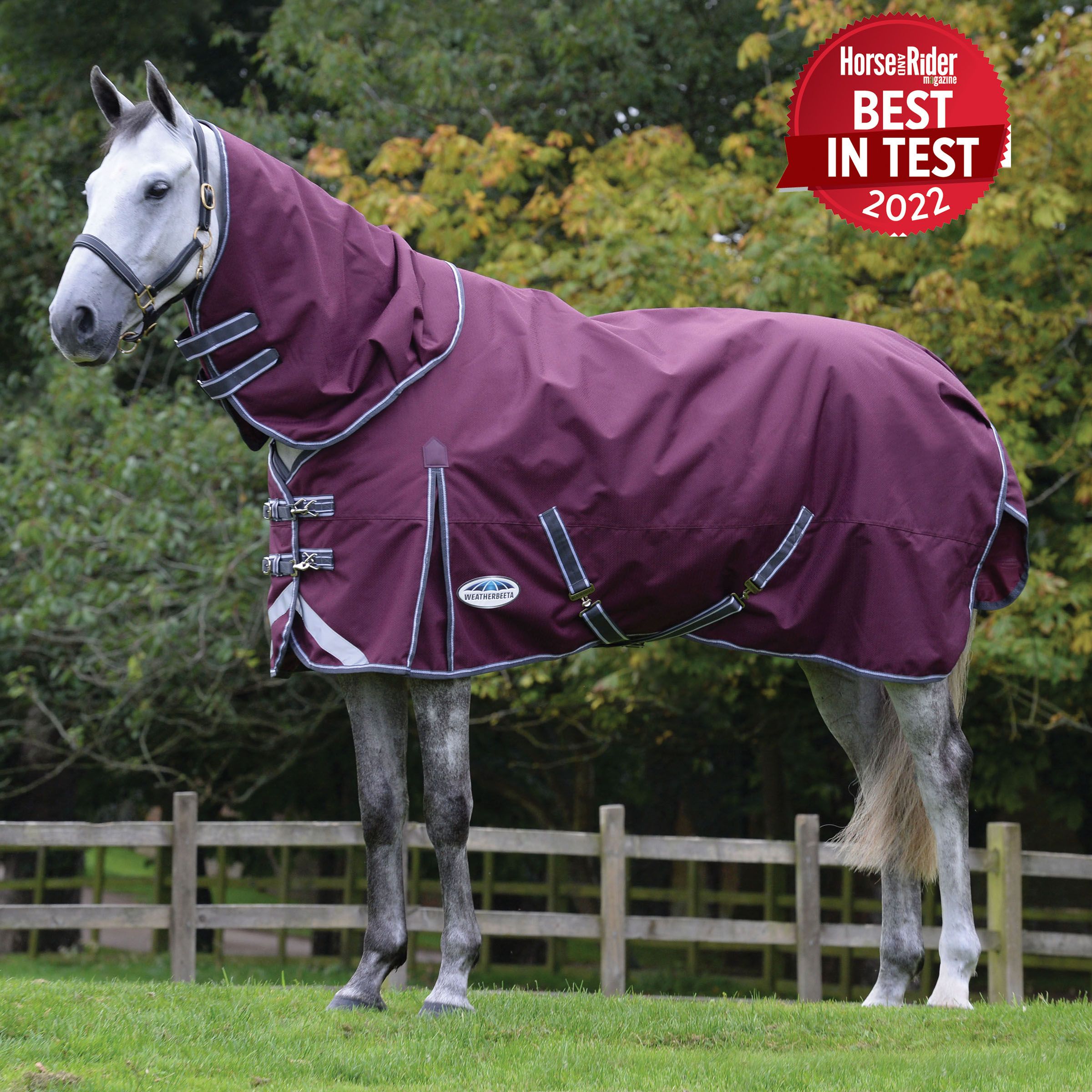 Weatherbeeta Comfitec Plus Dynamic II Turnout Rug 220g 1200D Med Detach-a-Neck