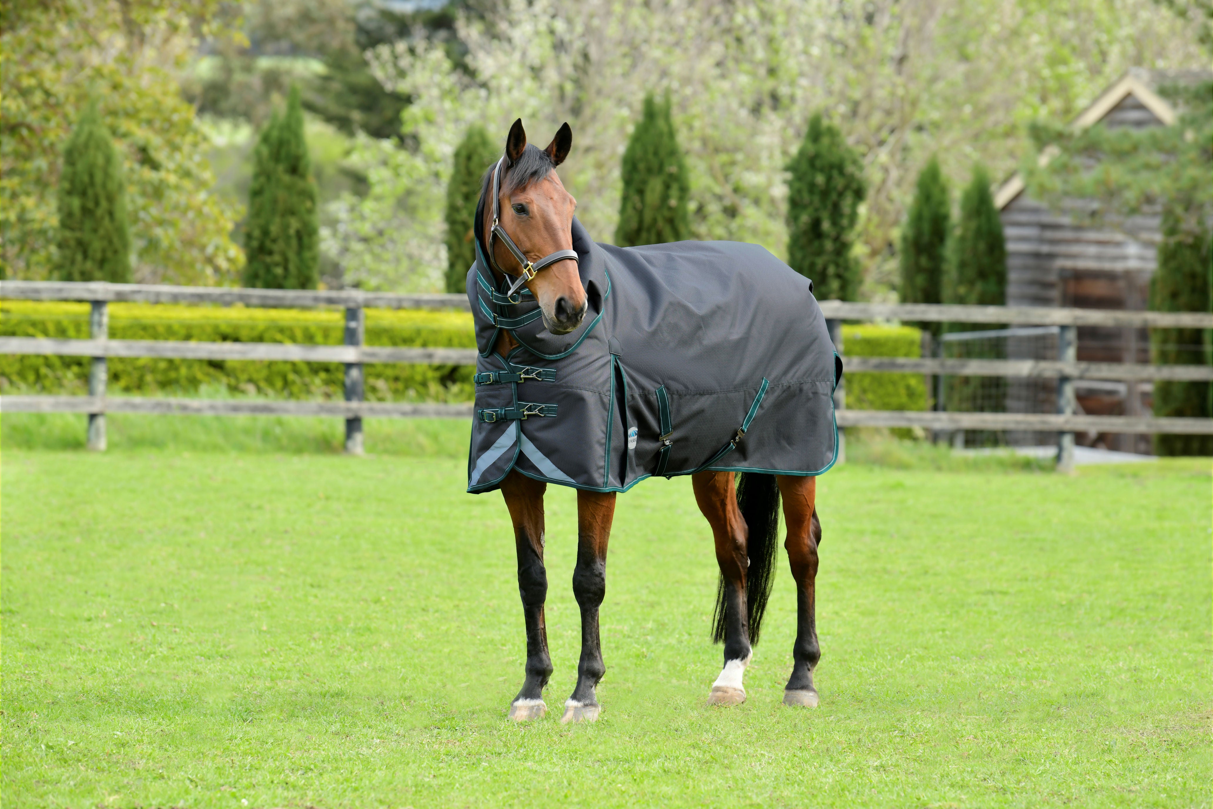 Weatherbeeta Comfitec Plus Dynamic II Turnout Rug 220g 1200D Med Detach-a-Neck