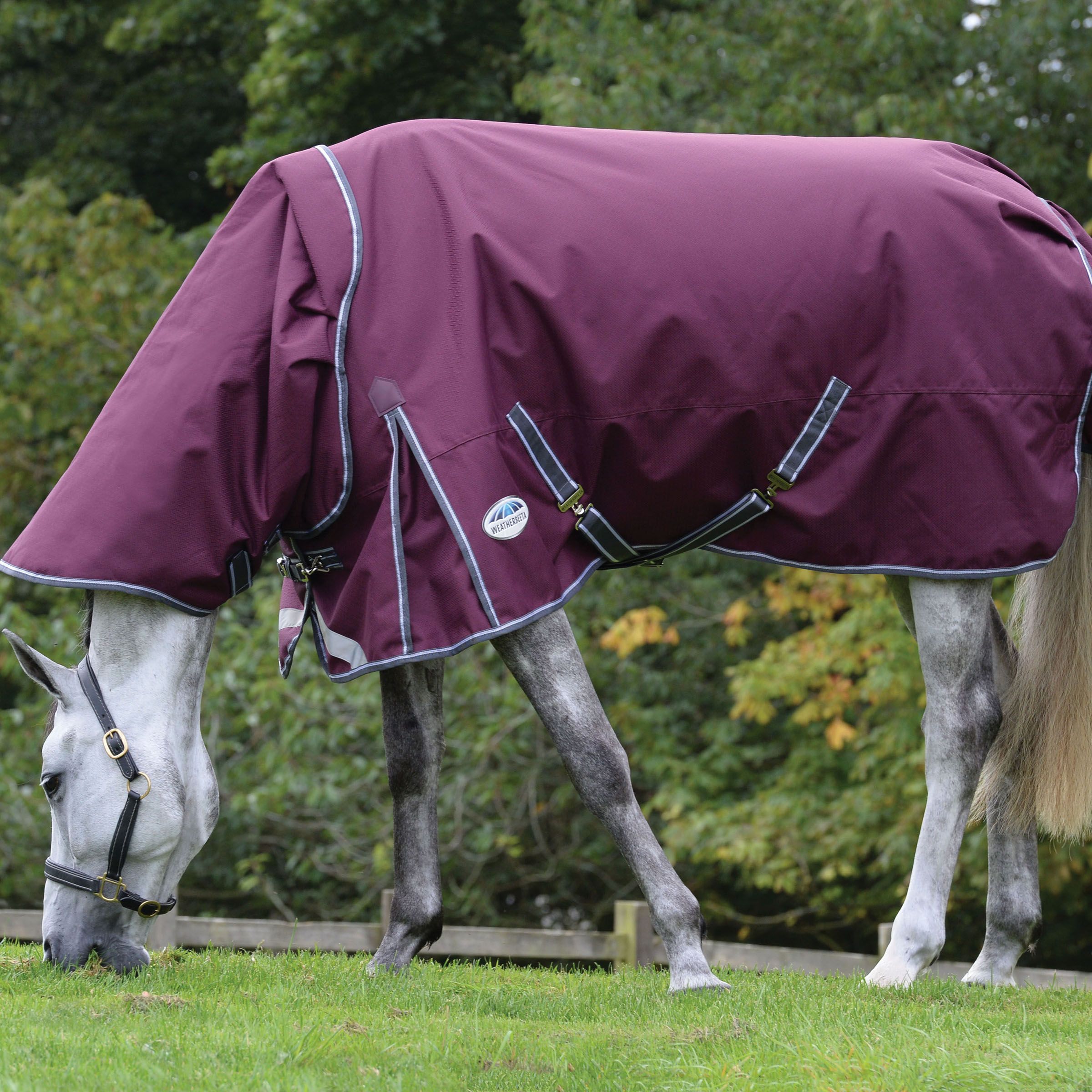 Weatherbeeta Comfitec Plus Dynamic II Turnout Rug 100g 1200D Detach-a-Neck