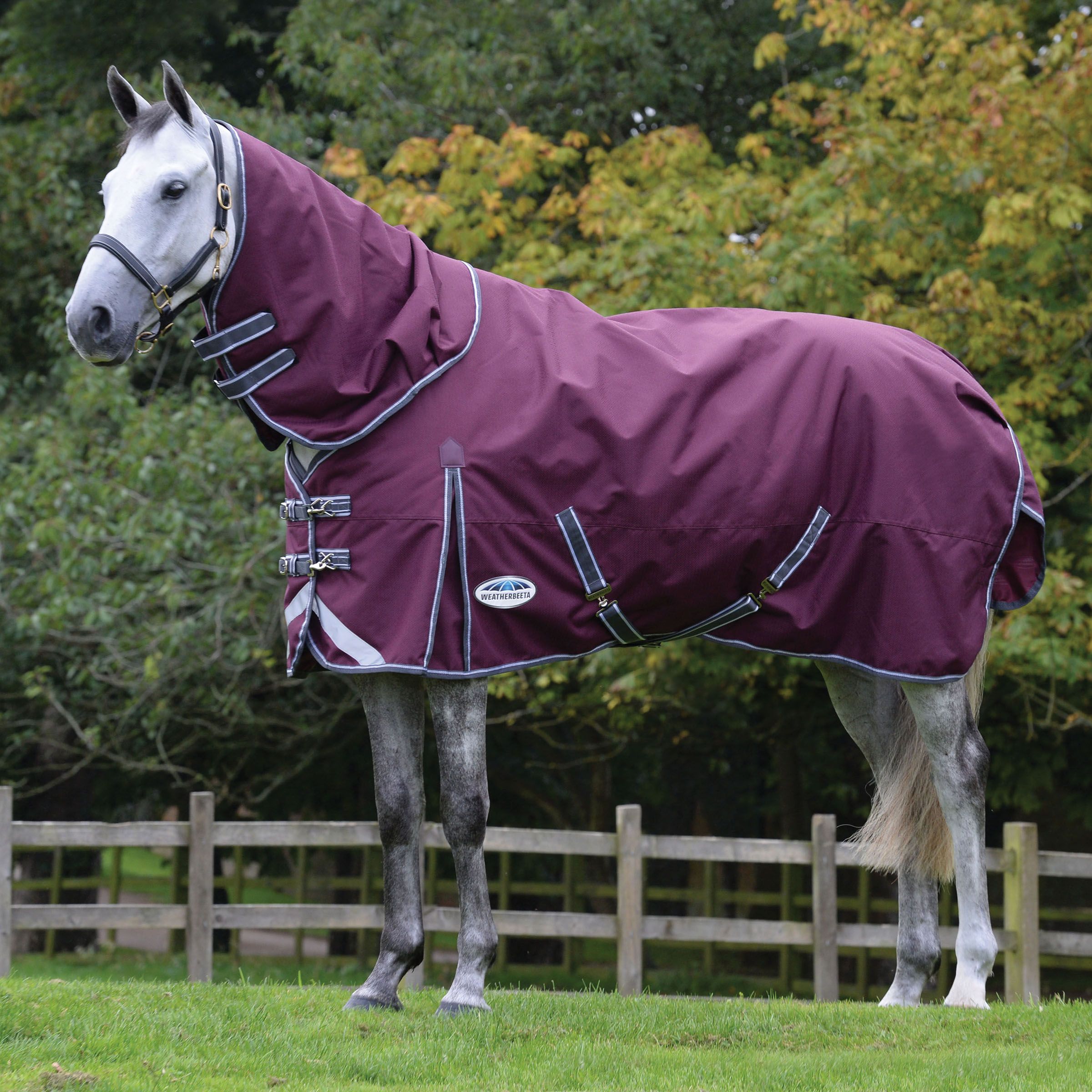Weatherbeeta Comfitec Plus Dynamic II Turnout Rug Detach-a-Neck 1200D 360g Heavy