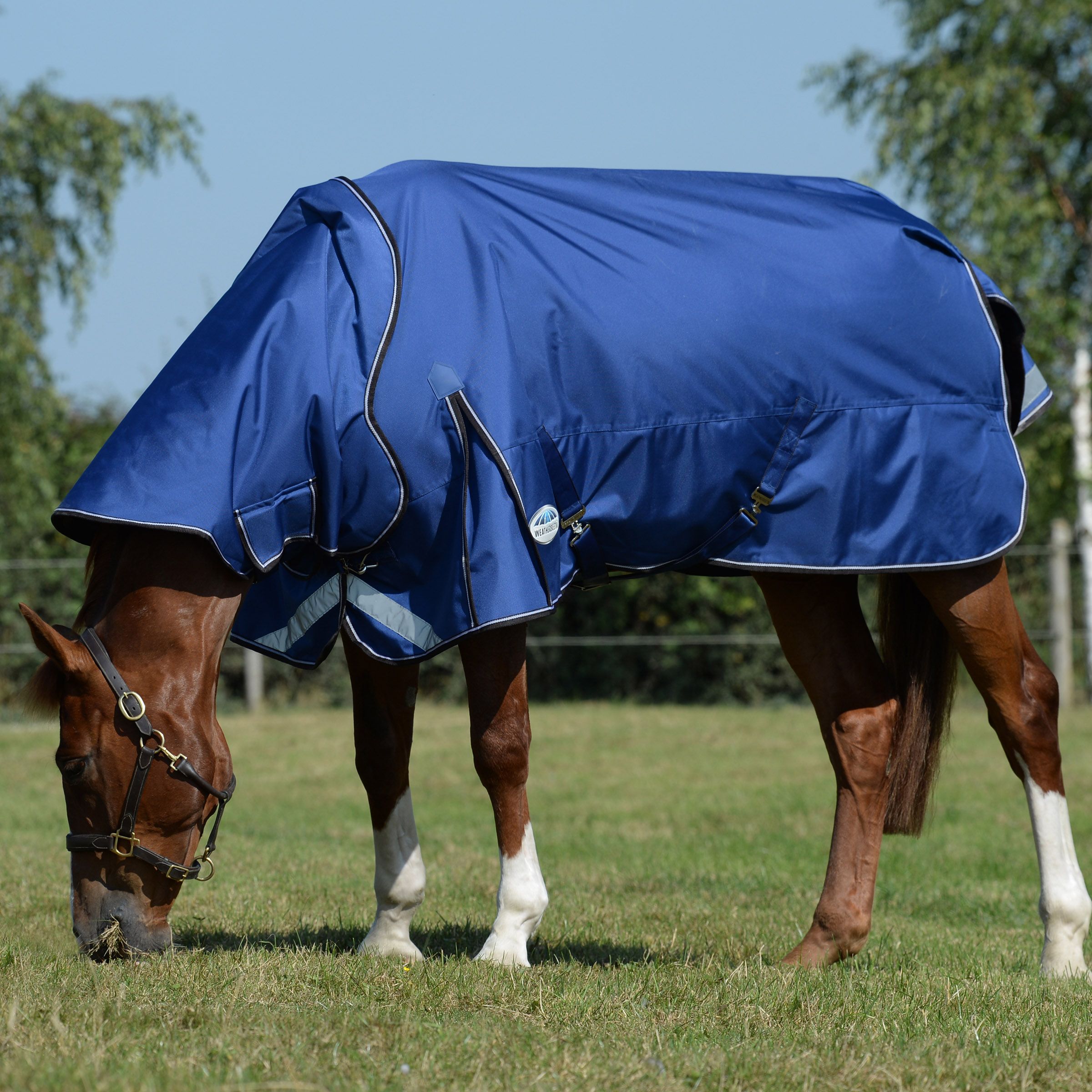 Weatherbeeta Comfitec Ultra Tough II Turnout Rug, 100g, 1680 Den, Detach-A-Neck