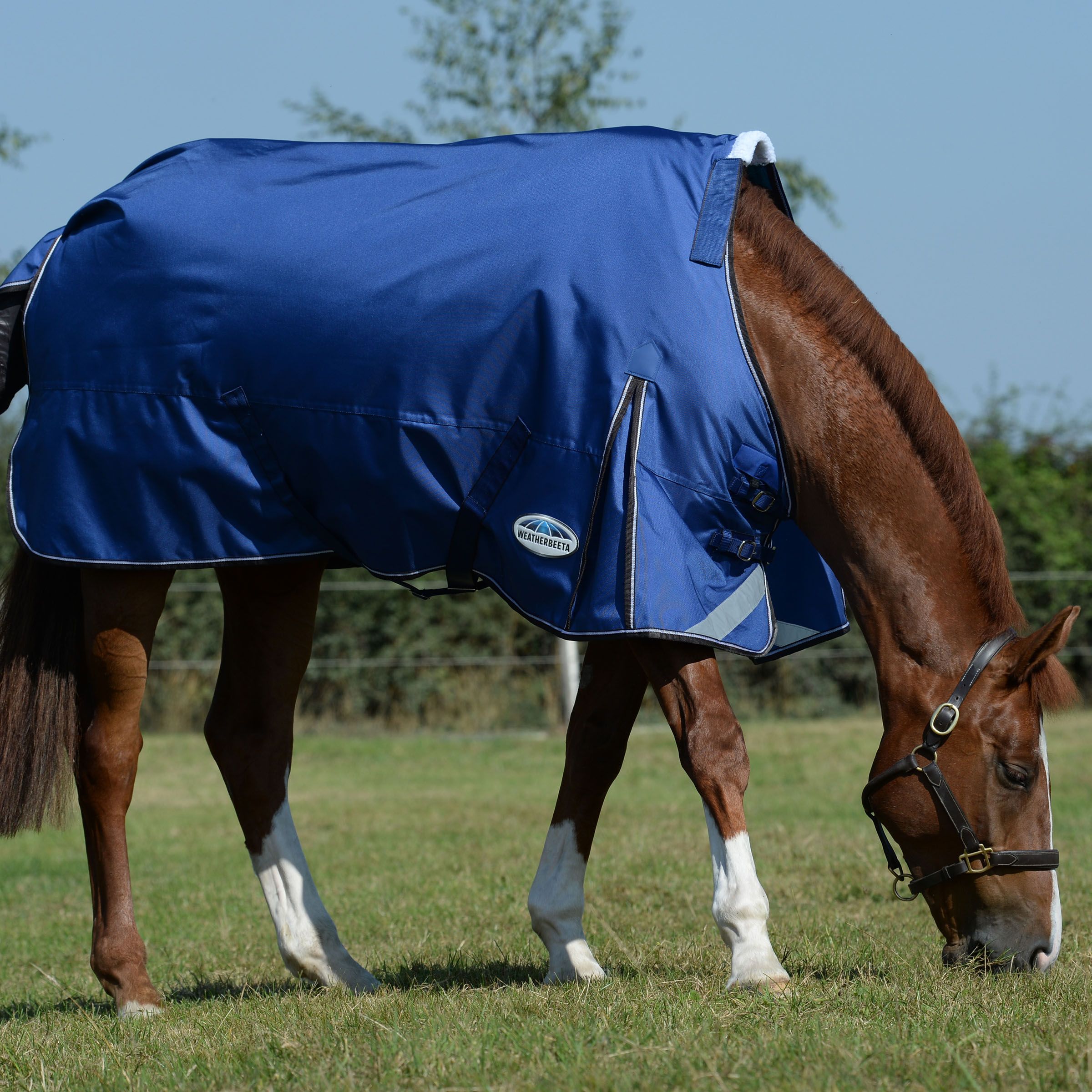Weatherbeeta Comfitec Ultra Tough II Turnout Rug, 100g, 1680 Den, Detach-A-Neck