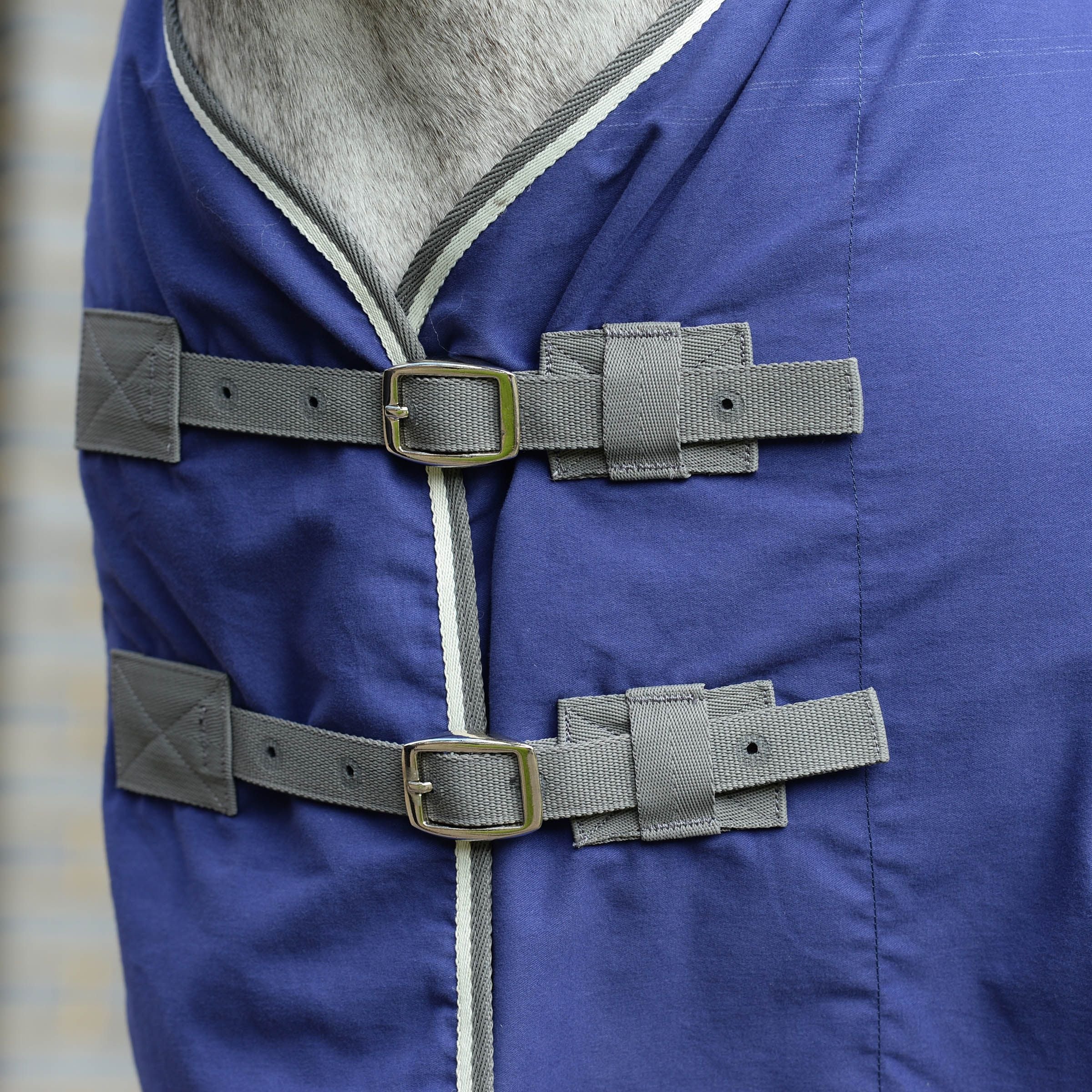 Weatherbeeta  Cotton Show Sheet / Travel Rug, With Surcingles II , Std Neck