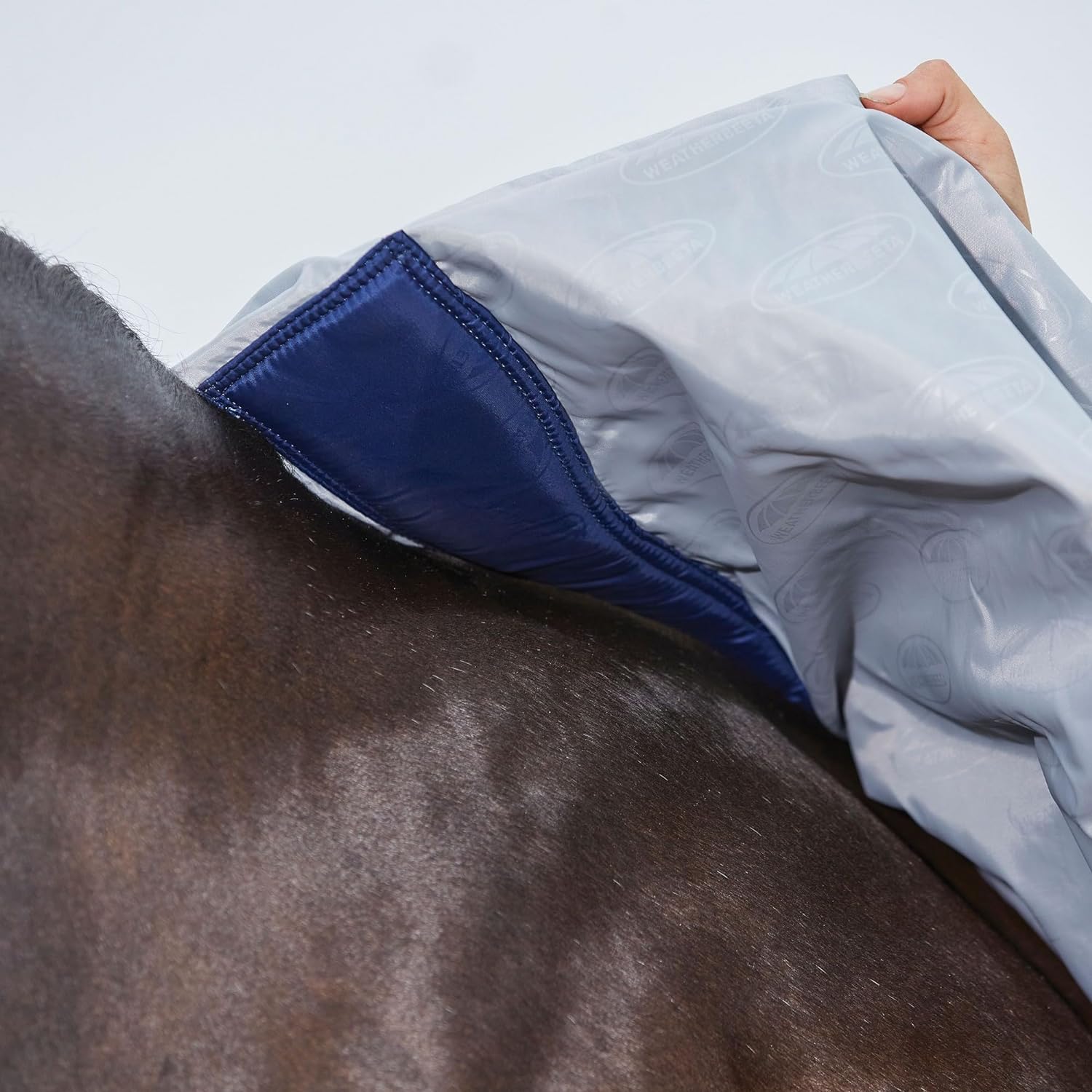 WeatherBeeta ComFiTec Fly Horse Rug, 600D/Mesh II Combo Full Neck , Belly Band