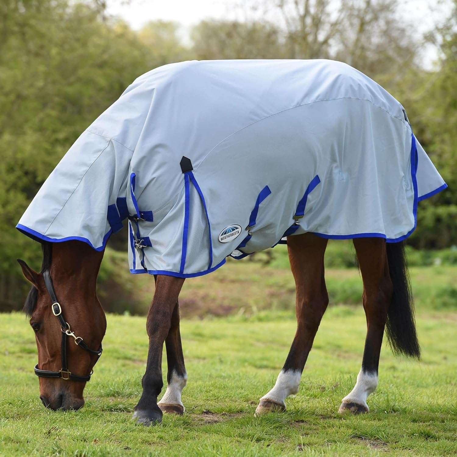 WeatherBeeta ComFiTec Fly Horse Rug, 600D/Mesh II Combo Full Neck , Belly Band