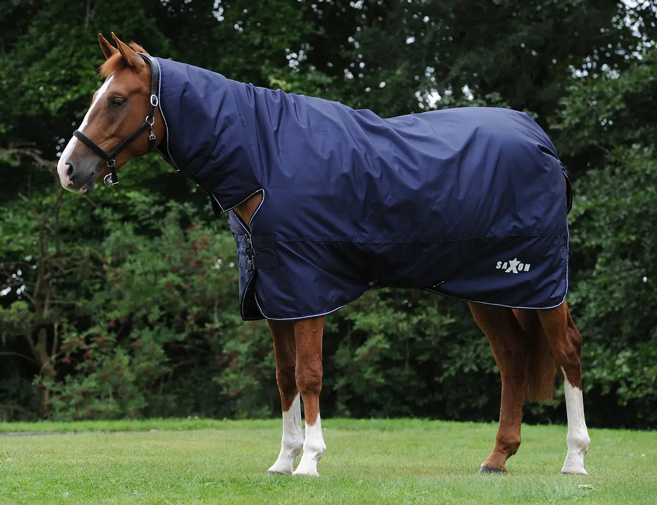 Saxon Defiant 300g Combo Full Neck Horse Turnout Rug,  Heavyweight, 2 Colours.
