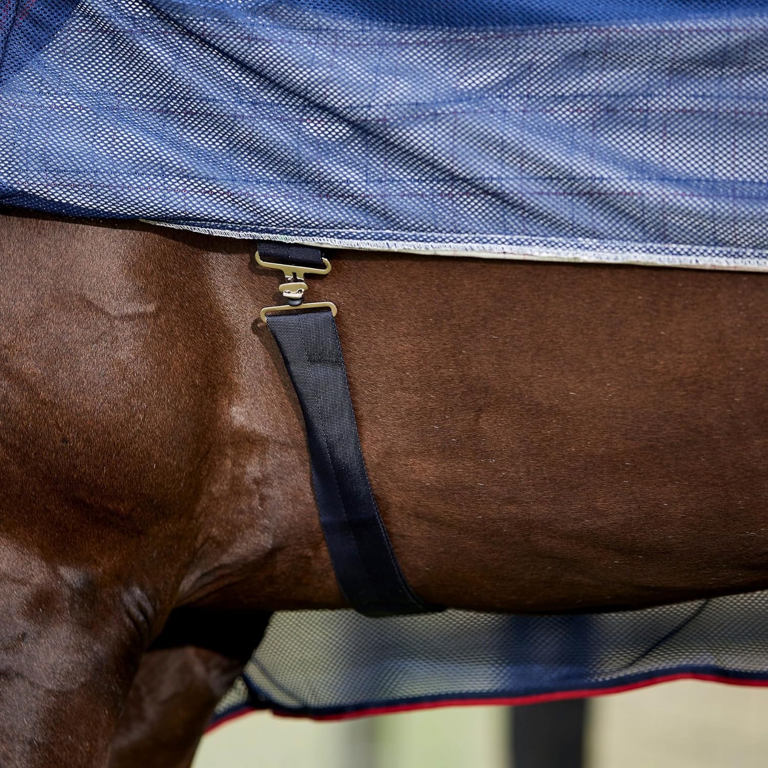 WeatherBeeta Breeze with Surcingle IV Fly Rug, Combo Full NeckHorse Rug/Sheet,