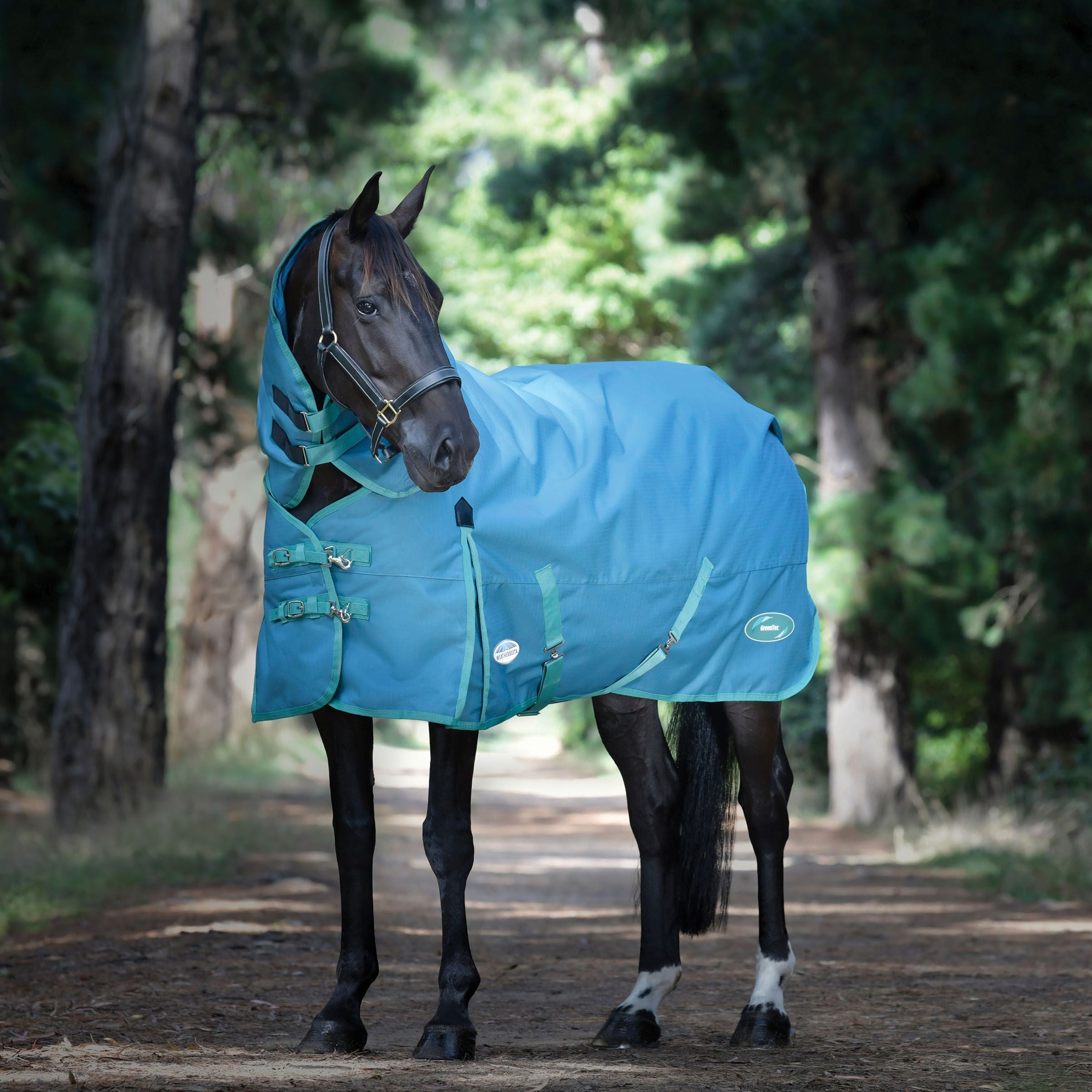 Weatherbeeta Green-Tec 360g Turnout Rug, 1200Den, Detach-A-Neck, Heavyweight