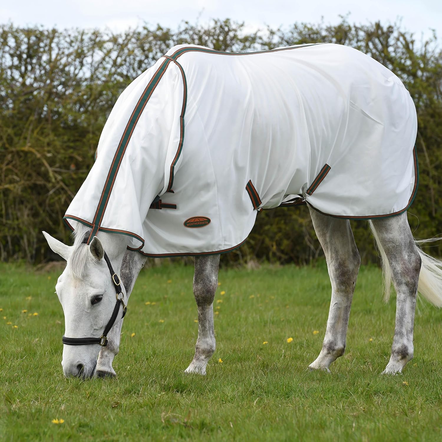 WeatherBeeta ComFiTec Tyro Mesh Fly Horse Rug,  Combo Full Neck, Lightweight