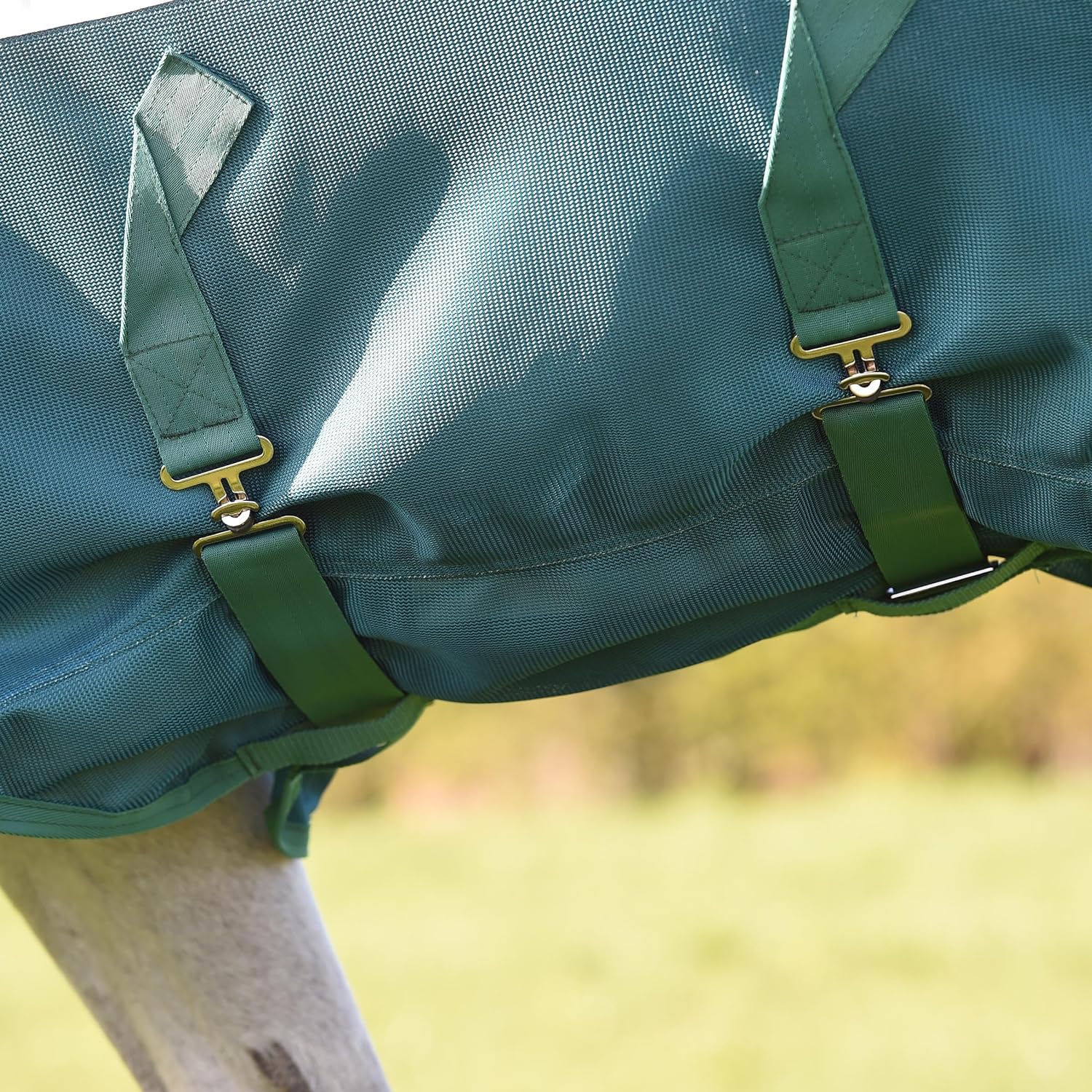 WeatherBeeta Green-Tec Airflow Mesh Fly Rug Combo Neck, White/Dragonfly Blue