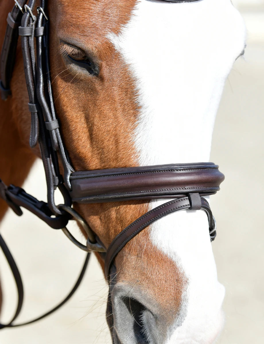 Collegiate Comfitec Opulux Plain Padded Hanovarian Flash Bridle, Black, Brown.