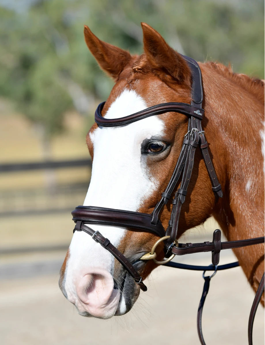 Collegiate Comfitec Opulux Plain Padded Hanovarian Flash Bridle, Black, Brown.