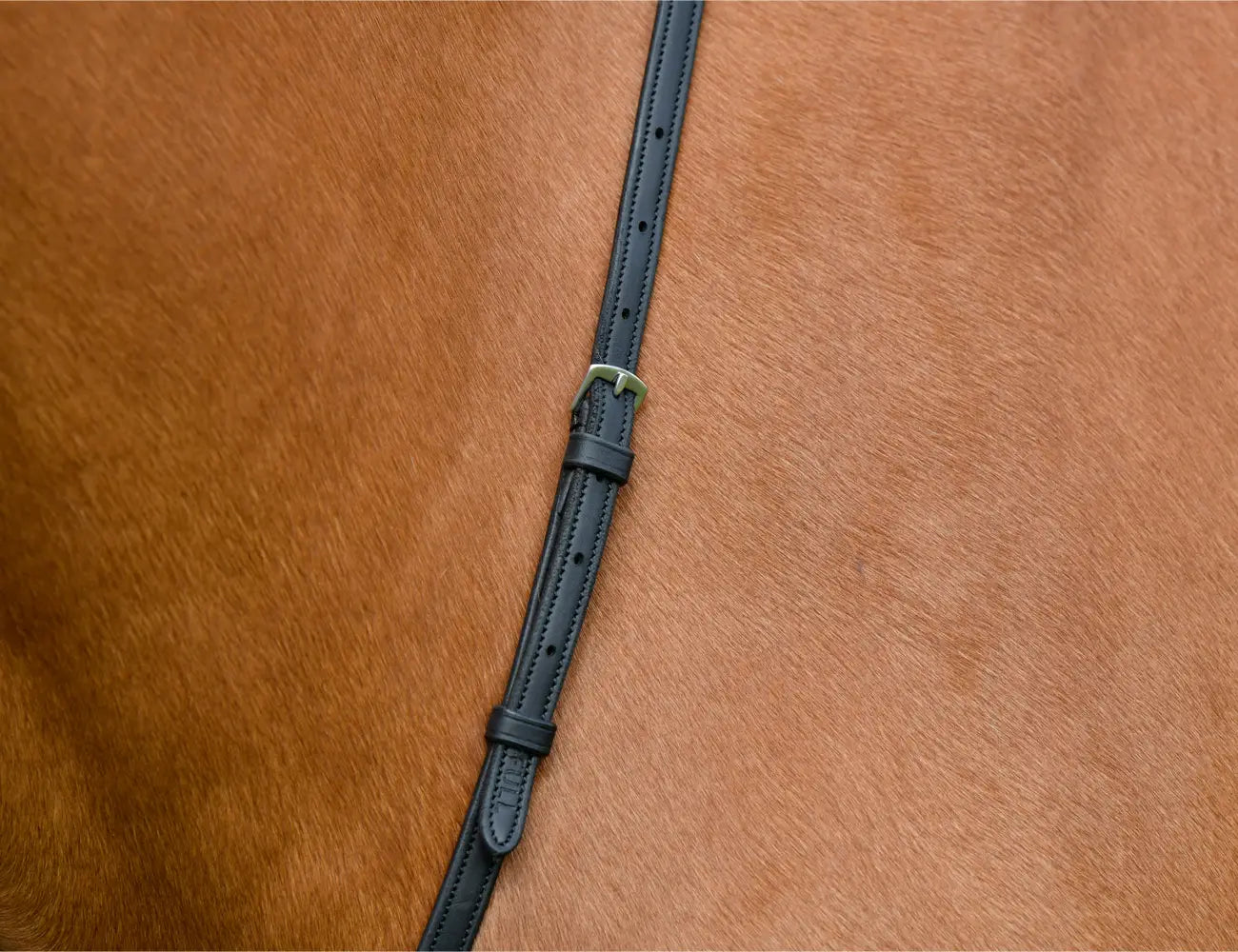 Collegiate Comfitec Opulux Plain Flat Running Martingale, Black, Brown, 4 Sizes.