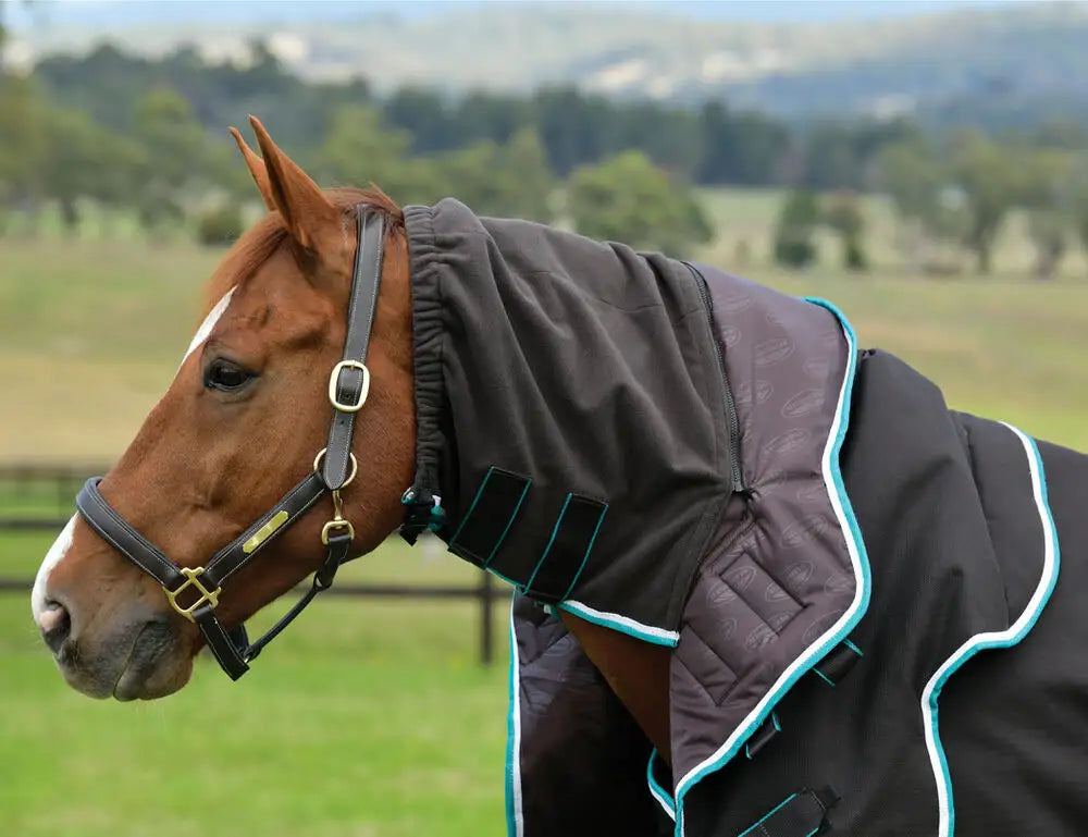 Weatherbeeta Comfitec Ultra Comfi 220g Turnout Rug,  Detach-a-Neck, 1800 Denier