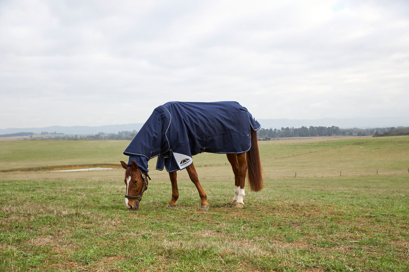WEATHERBEETA COMFITEC ULTRA 220G TURNOUT RUG, DETACH-A-NECK, MEDIUMWEIGHT