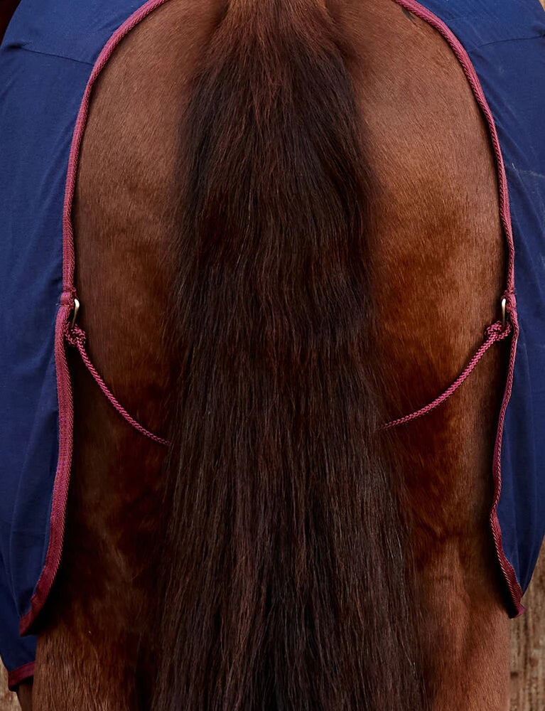 Weatherbeeta Horse Cotton Sheet, Travel Rug, Standard Neck